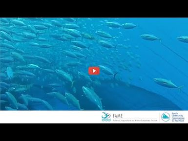 2020 Tuna tagging programme : Cook Islands Fisheries voice