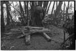 Pig festival, stake-planting, Tuguma: stakes, bamboo, cordyline and aglaonema leaves for ritual