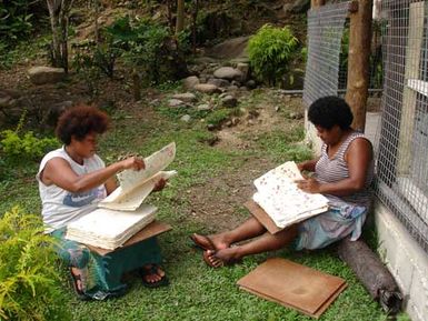 New Zealand aid project in Fiji