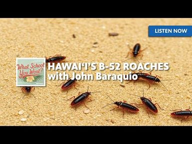 Hawai‘i’s B-52 Roaches (with John Baraquio) | WHAT SCHOOL YOU WENT?