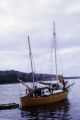 French Polynesia, sailboat anchored off shore of Tahiti Island