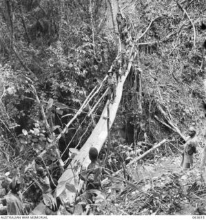 SHAGGY RIDGE, NEW GUINEA. 1944-01-20. QX6011 LIEUTENANT COLONEL C. J. CUMMINGS OBE, COMMANDING OFFICER, 2/9TH INFANTRY BATTALION, CROSSING A NEW LOG BRIDGE BETWEEN GUY'S POST AND SHAGGY RIDGE