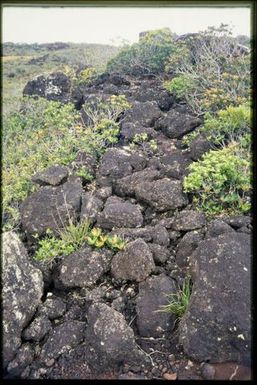 Rock outcrop in shrubland