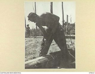 BOUGAINVILLE ISLAND, 1945-01-19. VX137608 SAPPER J.T.L. COLQUHOUN USING AN ADZE TO LEVEL THE TOP OF A STRINGER FOR THE NEW BRIDGE WHICH THE 5TH FIELD COMPANY IS BUILDING ACROSS THE REINI RIVER