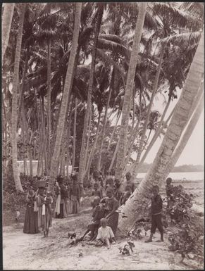 Women carrying baskets of food and water, Honggo, Solomon Islands, 1906, 2 / J.W. Beattie