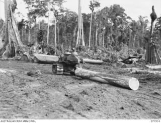 LAE, NEW GUINEA. 1944-03-30. VX115559 SAPPER L.E. DAVIS (1), WITH NX98426 SAPPER T. HURLEY (2), HAULING A CUT LOG TO SHEDS AT THE 59TH CORPS FIELD PARK COMPANY. THE MILLED TIMBER IS USED FOR ARMY ..