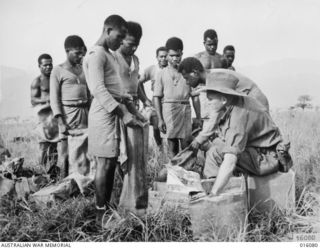 NEW GUINEA. 8 NOVEMBER 1943. MEMBERS OF A PAPUAN INFANTRY UNIT AT A FORWARD POST SERGEANT J. LAMBERTON OF WESTEND, QLD, ISSUES RATIONS TO MEMBERS ABOUT TO SET OUT ON A SCOUTING PATROL