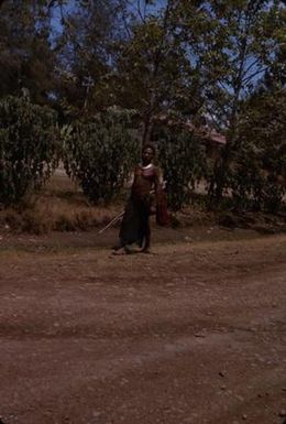 [Man walking in Eastern Highlands, Papua New Guinea]