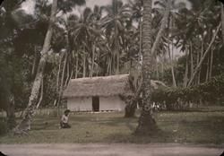 Rana Tonga