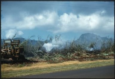 Prescribed burn on sugar cane field. Scanning and access made possible by a grant from NEH.