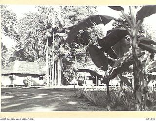 LAE, NEW GUINEA. 1944-06-02. THE GENERAL AREA OF HEADQUARTERS NEW GUINEA FORCE LOOKING TOWARDS THE BATTLE ROOM. THE G SECTION (OPERATIONS) HUT IS AT THE LEFT, AND THE G SECTION REGISTRY HUT IS ON ..