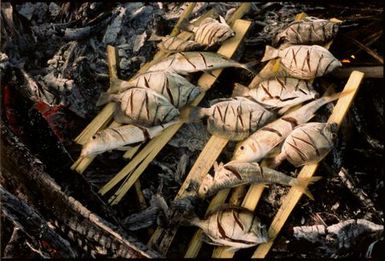 Fish cooking over an open fire, Cook Islands