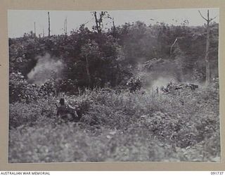 WEWAK AREA, NEW GUINEA, 1945-05-10. TROOPS OF 2/4 INFANTRY BATTALION SUPPORTED BY 2/4 ARMOURED REGIMENT MATILDA TANKS, DURING AN ATTACK AGAINST JAPANESE FORCES ENTRENCHED IN CAVES, TUNNELS AND ..