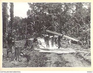 SORAKEN AREA, BOUGAINVILLE, 1945-06-07. NATIVES AT WORK ON THE ROUGH CORDUROY TRACK USED TO CARRY SUPPLIES FROM 31/51 INFANTRY BATTALION, TACTICAL HQ