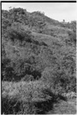 Bismarck Range mountains, view from Babaimp