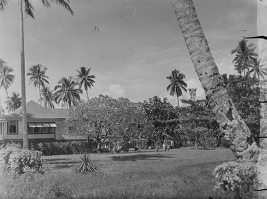 [House surrounded by tropical plants]