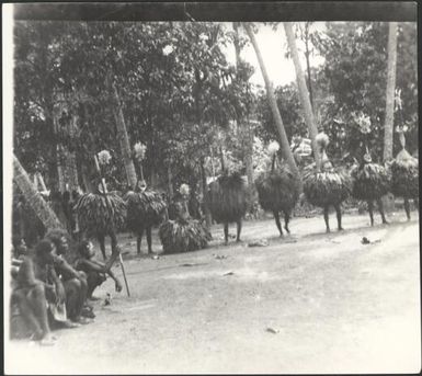 Row of Dukduks, with seated onlookers, Matupit, Rabaul Harbour, New Guinea, 1929 / Sarah Chinnery