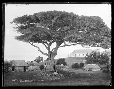 "Zion", Nukualofa [Nuku'alofa], Tonga