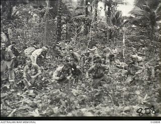 LOS NEGROS ISLAND, ADMIRALTY ISLANDS. 1944-03-18. RAAF AIRMEN CLEARING AWAY UNDERGROWTH IN A COCONUT PLANTATION TO PREPARE A CAMP SITE