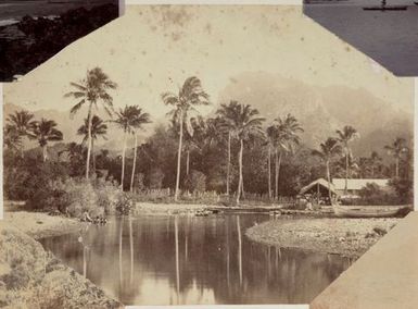 River and village. From the album: Cook Islands