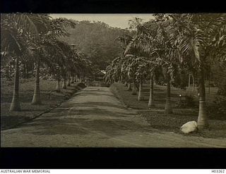 Rabaul, New Britain. c. 1915. The main entrance to the Botanic Gardens. An avenue of King Palms leads towards the residence of the Gardens' Director visible in the distance