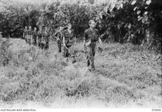 WARAPA AREA, BOUGAINVILLE ISLAND. 1945-02-13. MEMBERS OF A PATROL FROM A COMPANY, 61ST INFANTRY BATTALION MOVING THROUGH AN OLD NATIVE GARDEN AFTER SEARCHING THE JAPANESE HUTS. IDENTIFIED PERSONNEL ..