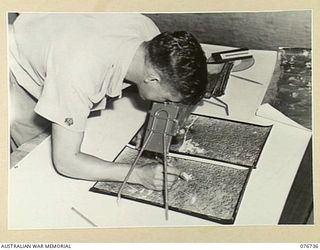 LAE, NEW GUINEA. 1944-11-09. WARRANT OFFICER II, W. SPENCER USING A STEREOSCOPE ON AERIAL PHOTOGRAPHS IN THE OFFICE OF THE 1ST FORESTRY SURVEY COMPANY AND THE 2ND FORESTRY COMPANY