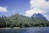 French Polynesia, mountain peaks and forest on Bora Bora