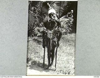 HOPOI, NEW GUINEA, 1943-10-30. NATIVE ELDER DECORATED FOR THE DANCE HELD AT THE CONCLUSION OF THE CONFERENCE BETWEEN THE VILLAGE CHIEFS AND NX155085 CAPTAIN R.G. ORMSBY OF THE AUSTRALIAN AND NEW ..