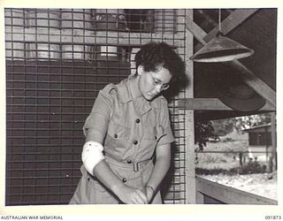 LAE, NEW GUINEA, 1945-05-16. SIGNALWOMAN J. BROWN, DRAUGHTSWOMAN, AT HER DRAWING BOARD IN THE OFFICE OF THE CHIEF SIGNAL OFFICER, HEADQUARTERS FIRST ARMY. AUSTRALIAN WOMEN'S ARMY SERVICE PERSONNEL ..