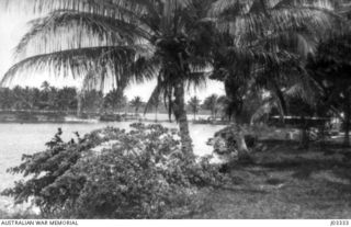 ALEXISHAFEN, NEW GUINEA. C. 1915. A SCENE IN THE GROUNDS OF THE ROMAN CATHOLIC GERMAN MISSION AT FORT ALEXIS. (DONOR LT.-COM. G.A. HILL RNR)