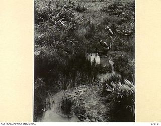 FINSCHHAFEN AREA, NEW GUINEA. 1944-04-09. QX44130 CAPTAIN J.L. GROOM (1), COMMANDING OFFICER 15TH MALARIA CONTROL UNIT WITH VX102759 CAPTAIN I.C. MACDONALD, MALARIALOGIST, 2ND AUSTRALIAN CORPS (2), ..