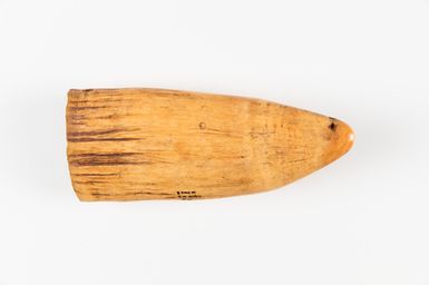 Tabua