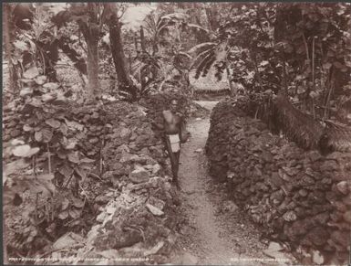 A man standing between stone walls at Matema, Reef Islands, 1906 / J.W. Beattie