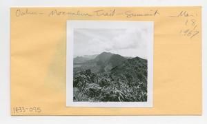[Moanalua Valley Trail in Hawaii, envelope IE33-095]