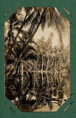 Lagoon, probably Naoero.  From the album: Banaba (Ocean Island)