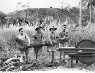 WARDS STRIP, PORT MORESBY, NEW GUINEA, 1943-03. FOUR MEMBERS OF THE RAAF CARRY A LOG TO A CIRCULAR SAW. WARDS AERODROME WAS WORKED ON BY BOTH NO. 2 AND NO. 5 MOBILE WORKS SQUADRON (LATER AIRFIELD ..