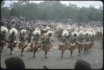 Port Moresby show: dancers with brightly dyed grass skirts and feathered headdresses