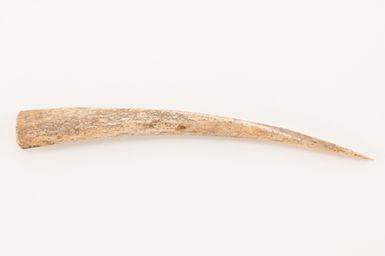 Te kai ni wairau