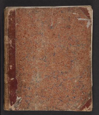 Swainson, Henry Gabriel, 1830-1892 : Journal kept on board the Havannah & H MS Bramble