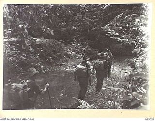 PANAMBERI RIVER, NEW GUINEA. 1945-08-05. TROOPS OF D COMPANY, 2/7TH INFANTRY BATTALION, PUSHING ALONG THE JAPANESE LINE OF COMMUNICATION TRAIL BESIDE THE CREEK DURING A SIX DAY PATROL INTO ENEMY ..