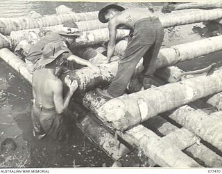 AITAPE AREA, NEW GUINEA. 1944-12-04. ENGINEERS OF NO. 8 PLATOON, 2/8TH FIELD COMPANY, BUILDING A COCONUT LOG BRIDGE ACROSS A STREAM ON THE AITAPE-DOGRETO ROAD. IDENTIFIED PERSONNEL ARE:- QX33524 ..