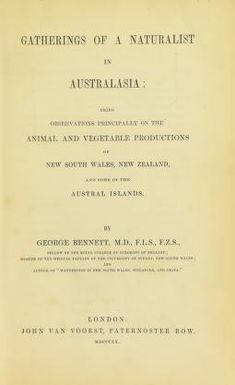 Gatherings of a naturalist in Australasia : being observations principally on the animal and vegetable productions of New South Wales, New Zealand, and some of the Austral Islands
