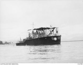 AITAPE, NORTH EAST NEW GUINEA. C. 1945. MEMBERS OF THE CREW OF THE RAAF AIR-SEA RESCUE LAUNCH SERIAL NO. 03-13 ARE NOT SUPERSTITIOUS OF NO. 13