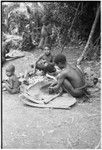 Pig festival, wig ritual, Tsembaga: boys extract pandanus oil to be rubbed on wigged men's skin