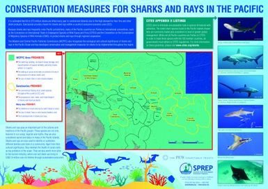 Conservation measures for sharks and rays in the Pacific