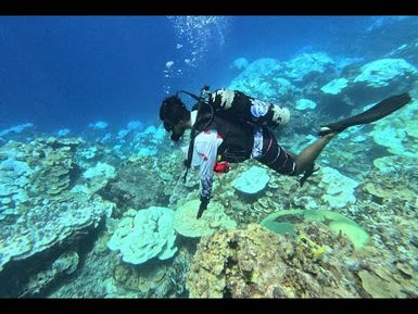 The urgent need to invest in Coastal fisheries science | HOF17