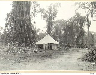 TOROKINA AREA, BOUGAINVILLE ISLAND. 1944-12-01. THE TEMPORARY TRANSPORT PARK OF THE 2/1ST AUSTRALIAN GENERAL HOSPITAL IN THE 4TH BASE SUB AREA