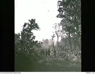 THE SOLOMON ISLANDS, 1945-04-24/27. AN AUSTRALIAN PATROL MOVING ALONG A ROAD ON BOUGAINVILLE ISLAND AS A CORSAIR AIRCRAFT OF THE RNZAF PASSES OVERHEAD. (RNZAF OFFICIAL PHOTOGRAPH.)