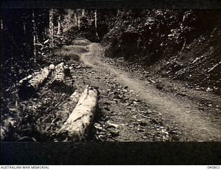 Ramu Valley, New Guinea. 1944-03. A view of a Japanese built road between Bogadjim and the Ramu Valley. The photograph was taken during a reconnaissance by Lieutenant Colonel R.B. Wood, Commanding ..